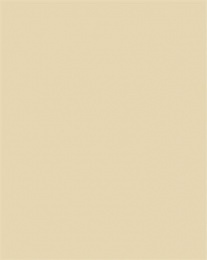 Dekoračný kartón, 2 stranný, 50x70 cm, 220 g, 10 listov, FOLIA, béžový